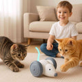 souris-pour-chat-imprevisible
