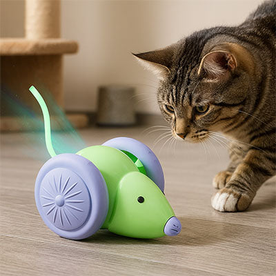 souris pour chat interactive