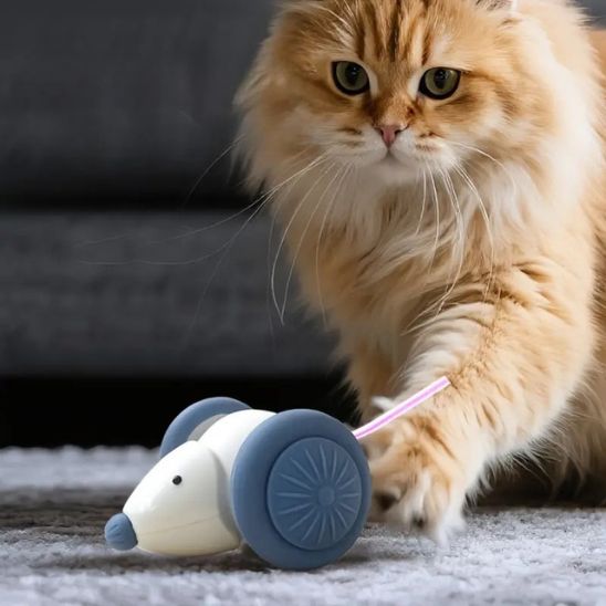 souris pour chat interactive