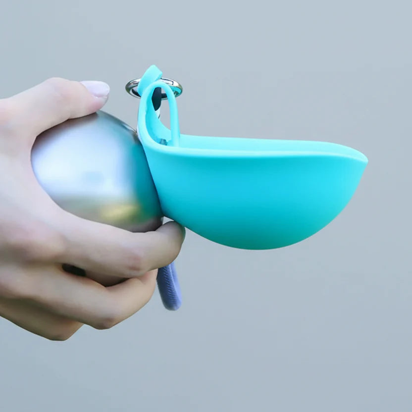Gourde De Voyage Pour Chien En Acier Inoxydable