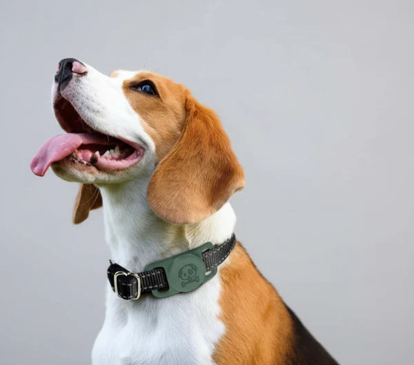 Support AirTag en silicone étanche pour collier chien anti-perte, sûr et résistant