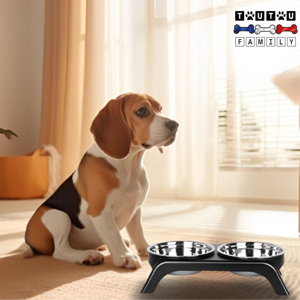 Support gamelle pour petit chien chiot - RéhausseurToutou™