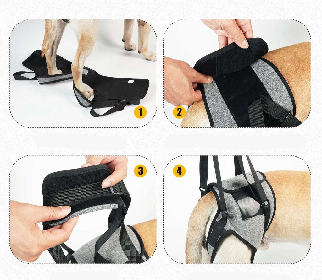 Support Lombaires Réglable Pour Grand Chien