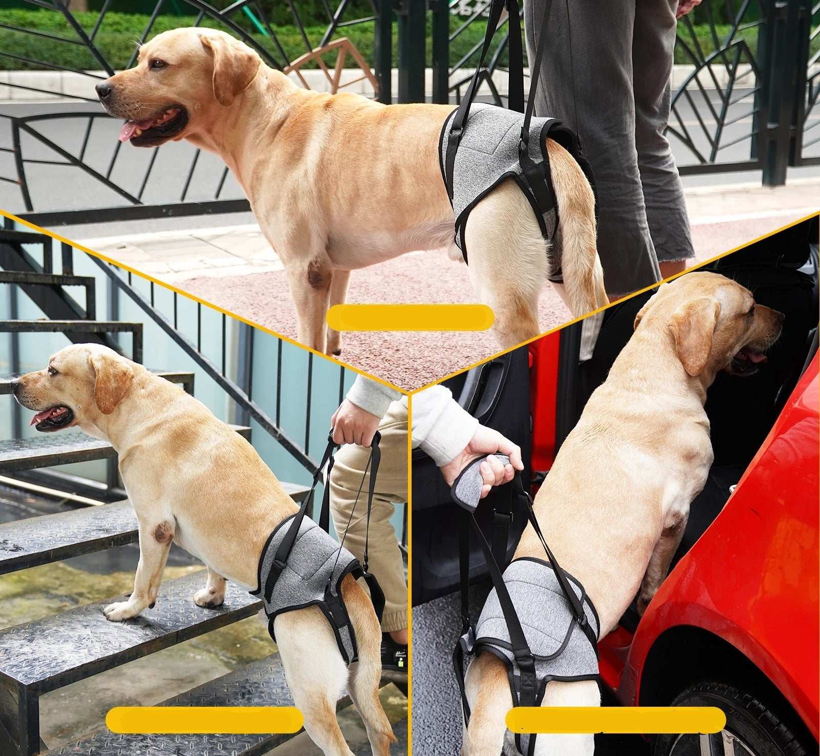 Support Lombaires Réglable Pour Grand Chien
