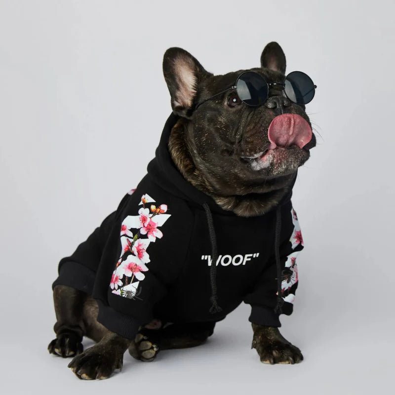 Sweat à Capuche Bouledogue Anglais