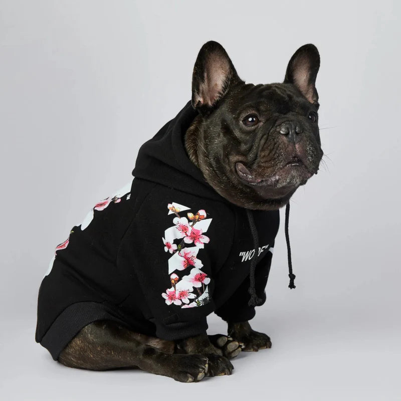 Sweat à Capuche Bouledogue Anglais