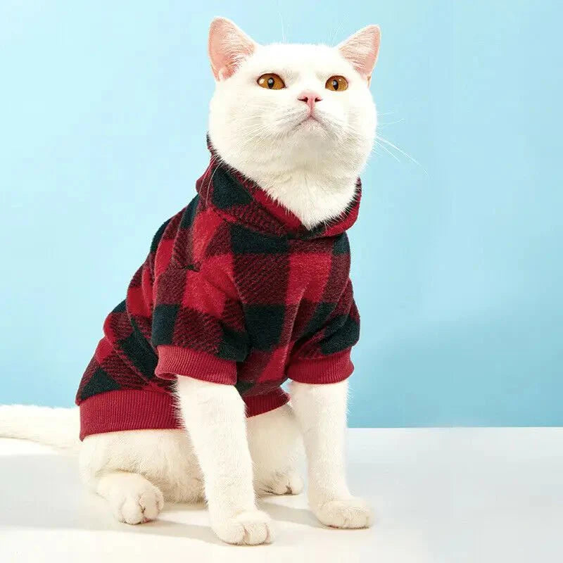 Sweat à Carreaux pour Chat