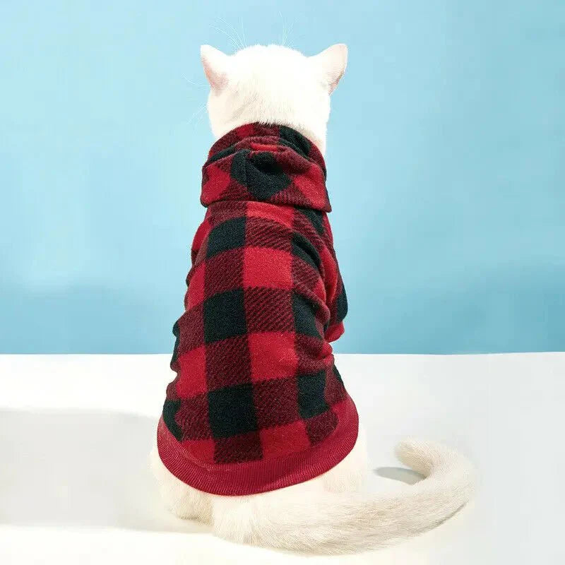 Sweat à Carreaux pour Chat