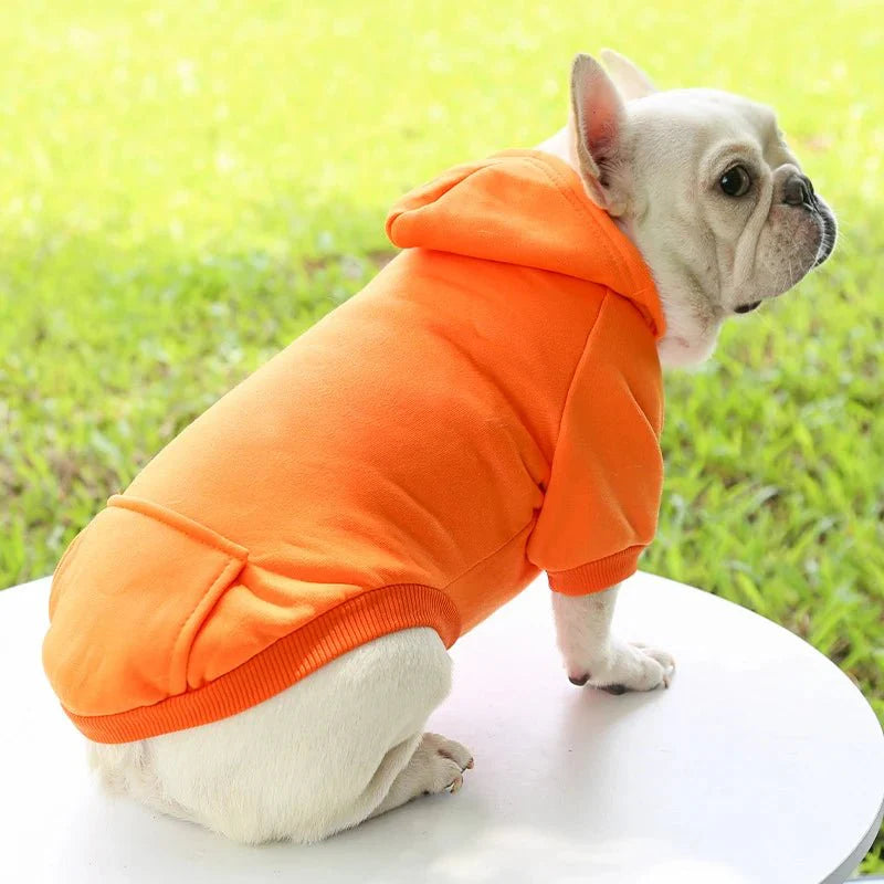 Sweat Capuche Chien