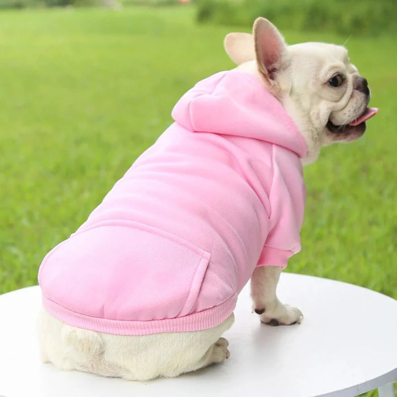 Sweat Capuche Chien