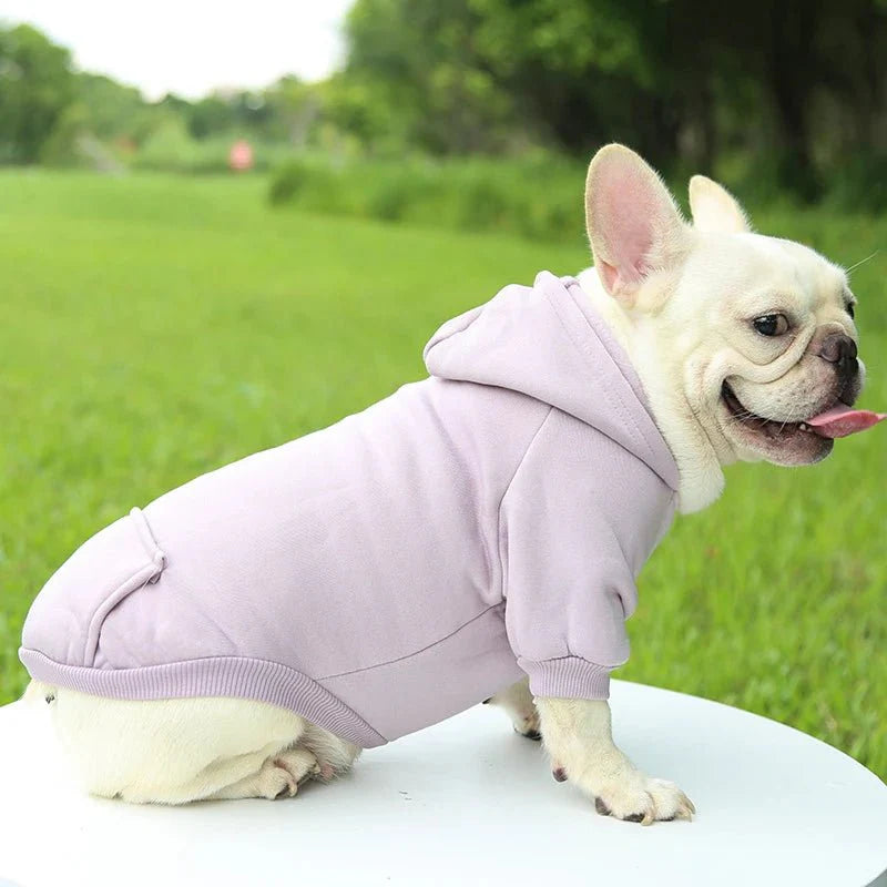 Sweat Capuche Chien
