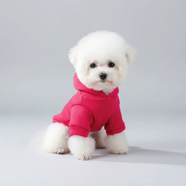 Sweat A Capuche Doux De Noël Pour Chien