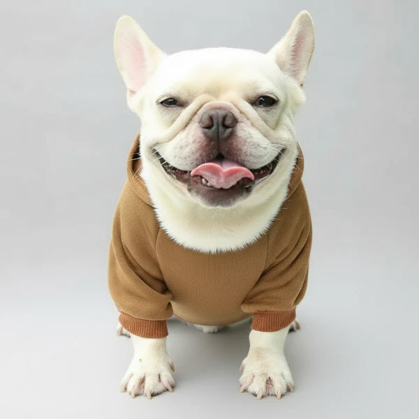 Sweat Capuche Doux Et Confortable Pour Petit Chien
