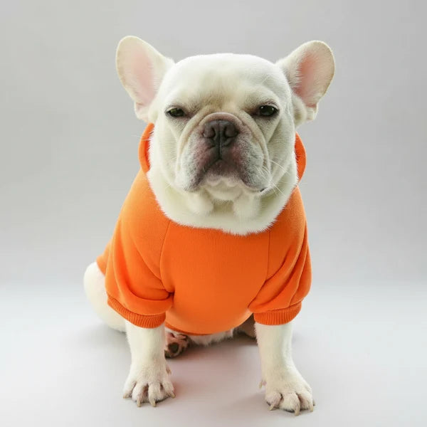 Sweat Capuche Doux Et Confortable Pour Petit Chien