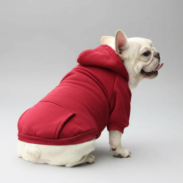 Sweat Capuche Doux Et Confortable Pour Petit Chien