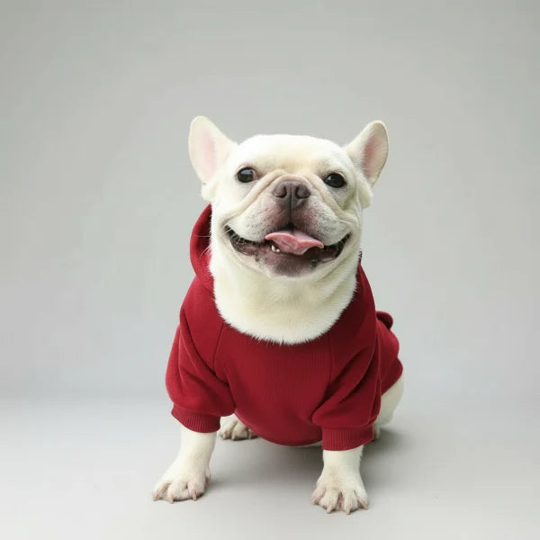 Sweat Capuche Doux Et Confortable Pour Petit Chien