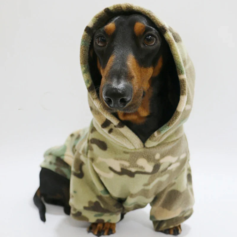 Teckel noir et feu portant un sweat capuche pour teckel camouflage Oscar et Plume coupe chaude et douillette