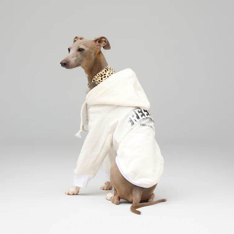 Sweat A Capuche Pour Chien Whippet Et Lévrier