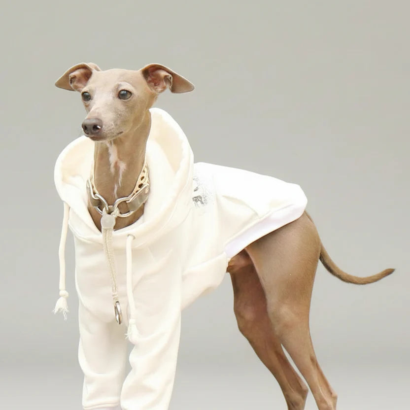 Sweat A Capuche Pour Chien Whippet Et Lévrier