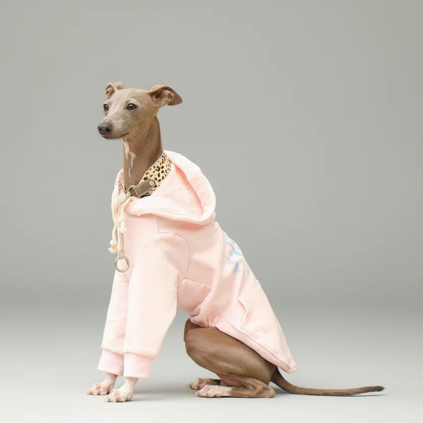 Sweat capuche pour whippet en rose avec poche avant et design confortable pour chiens