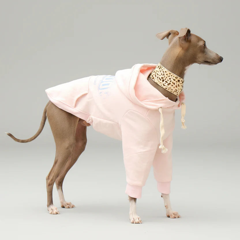 Sweat A Capuche Pour Chien Whippet Et Lévrier