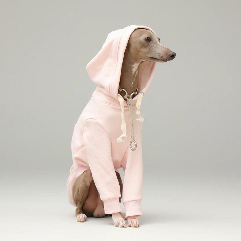 Sweat A Capuche Pour Chien Whippet Et Lévrier