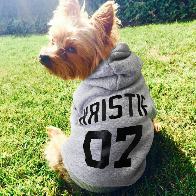 Sweat Chien Personnalisé