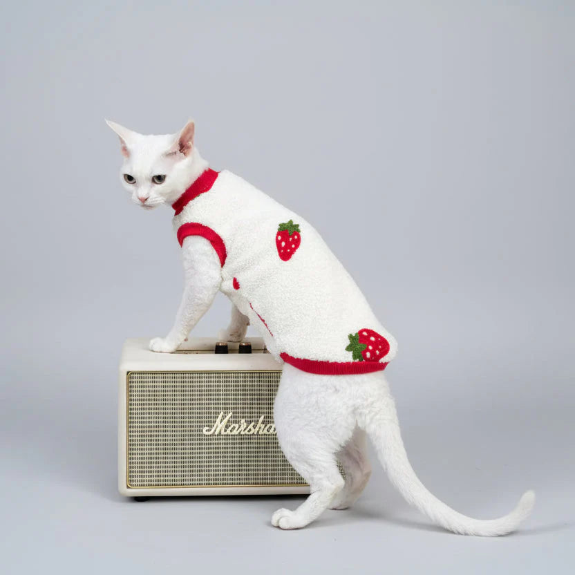 Sweat Polaire Chaud Pour Chat Sphynx, Devon Rex