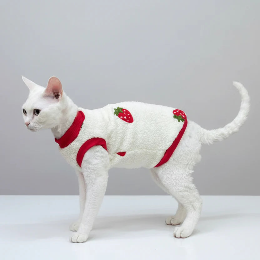 Sweat Polaire Chaud Pour Chat Sphynx, Devon Rex