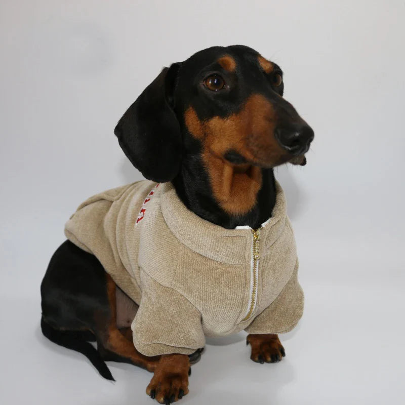 Teckel noir et feu portant un sweat polaire pour teckel beige avec fermeture éclair devant
