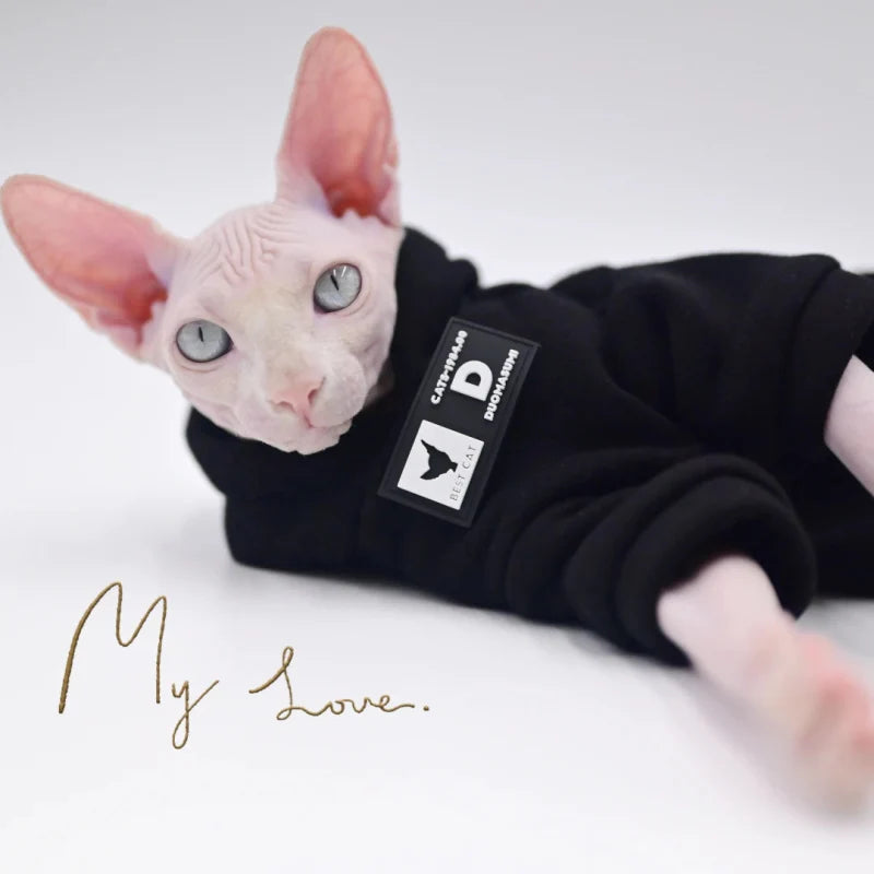 Sweat pour Chat Noir
