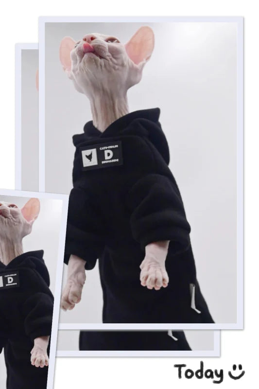 Sweat pour Chat Noir