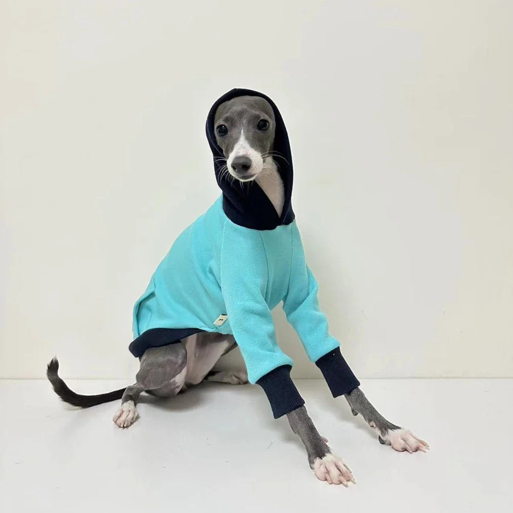 Sweat Bleu Avec Capuche Pour Lévrier