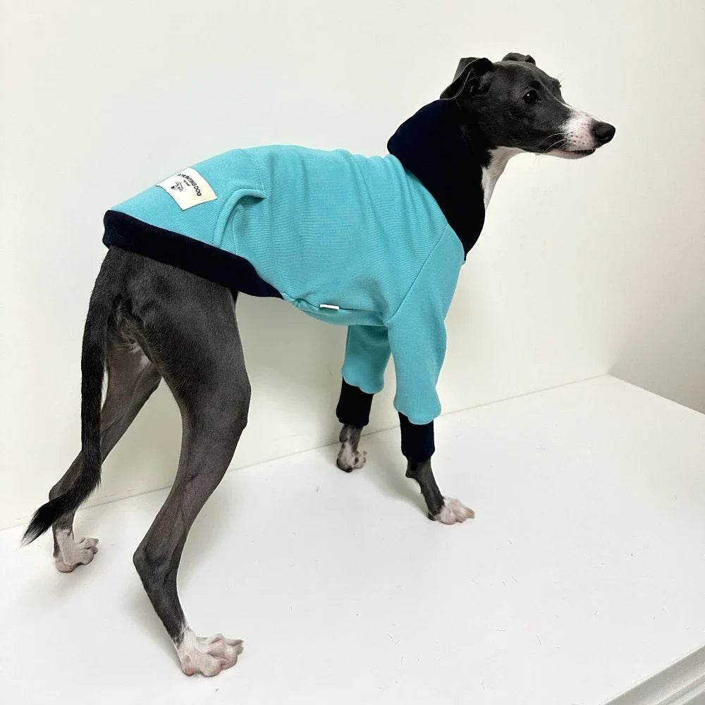 Sweat Bleu Avec Capuche Pour Lévrier