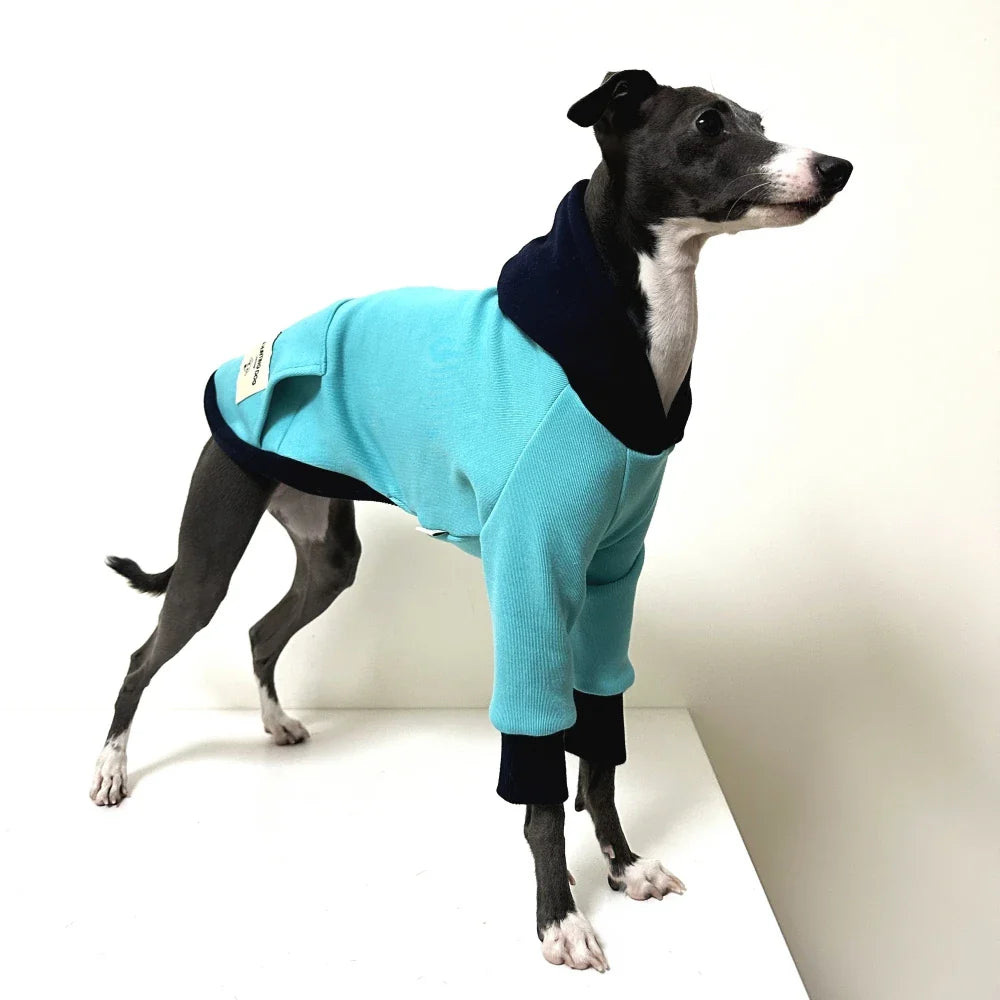 Sweat Bleu Avec Capuche Pour Lévrier