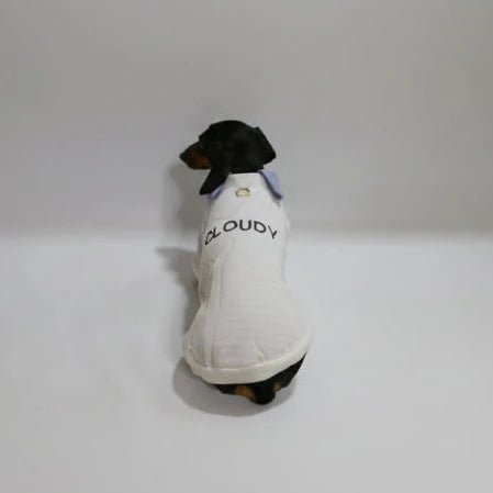 Sweat Col Chemise Pour Chien Teckel