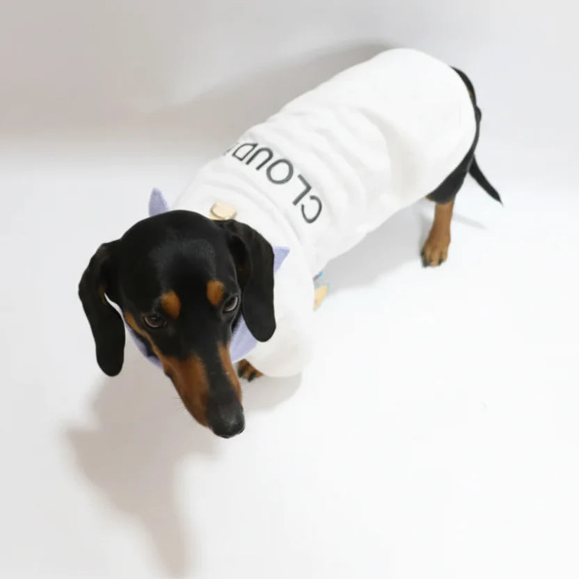 Sweat Col Chemise Pour Chien Teckel