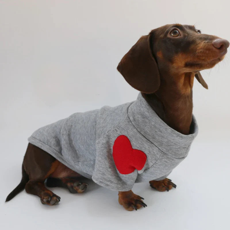 Sweat Love Pour Teckel Confortable En Coton Doux