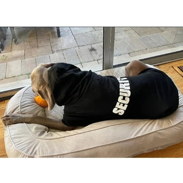 Sweat Security pour Chien