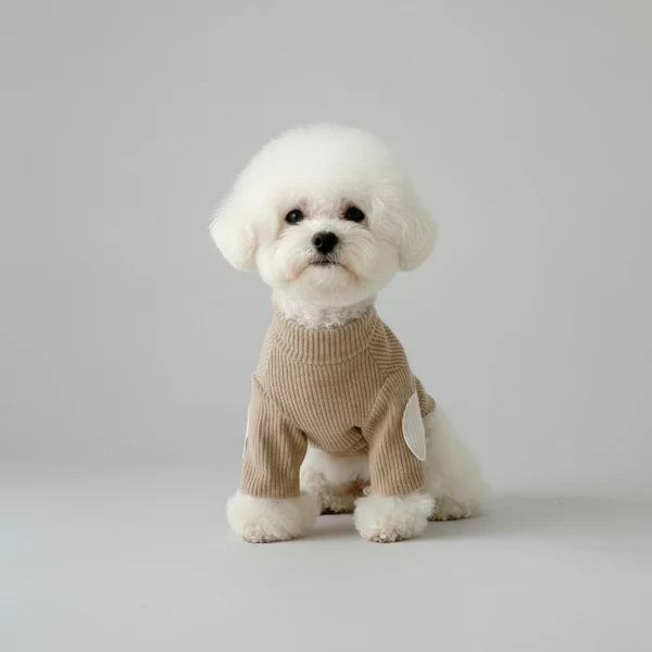 Sweat pour chien en coton : confortable et stylé