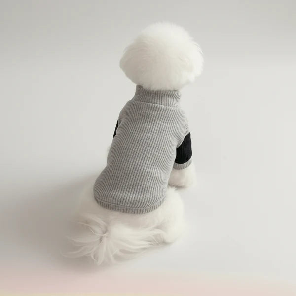 Sweat pour chien en coton : confortable et stylé