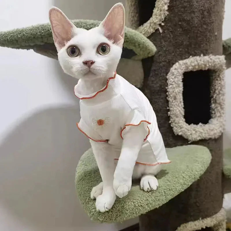 T-Shirt Blanc pour Chat