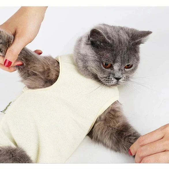 T-Shirt Chat / Chien Post Opération