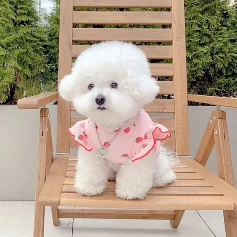 T-Shirt Chienne Femelle Fraises
