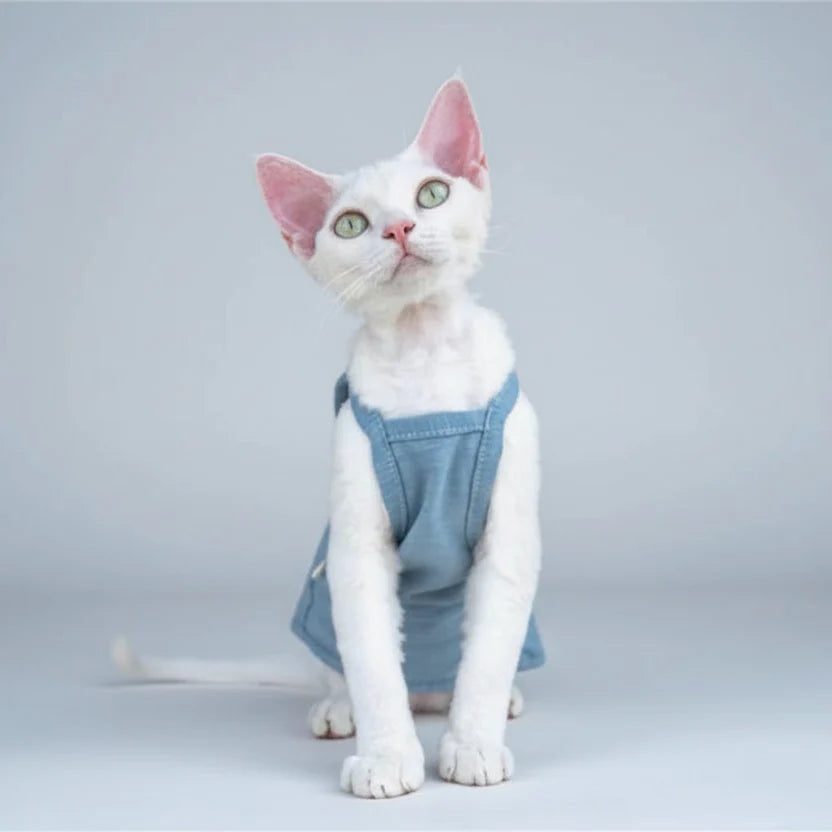 T-Shirt En Coton Confortable Pour Chat