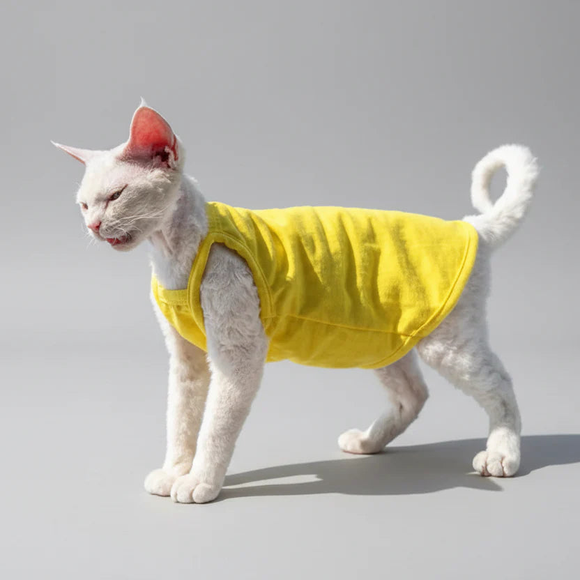 T-shirt coton pour chat jaune, confortable et léger pour animaux de compagnie élégants