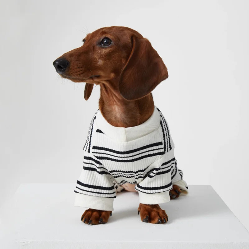 T-shirt En Coton Doux Pour Chien Teckel