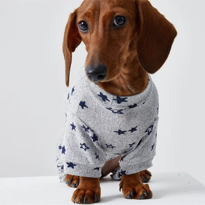 T-shirt En Coton Doux Pour Chien Teckel