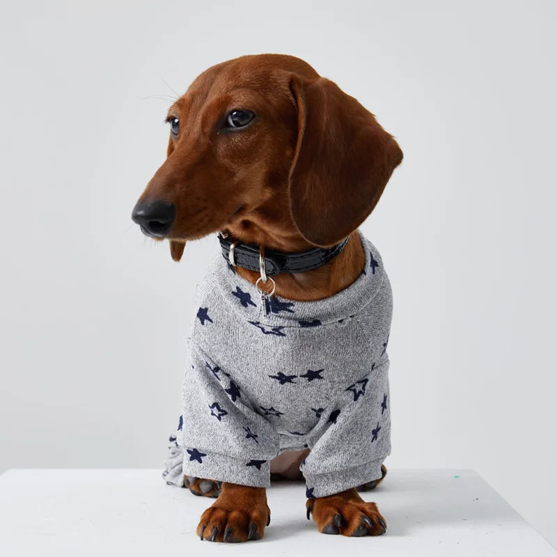 T-shirt En Coton Doux Pour Chien Teckel