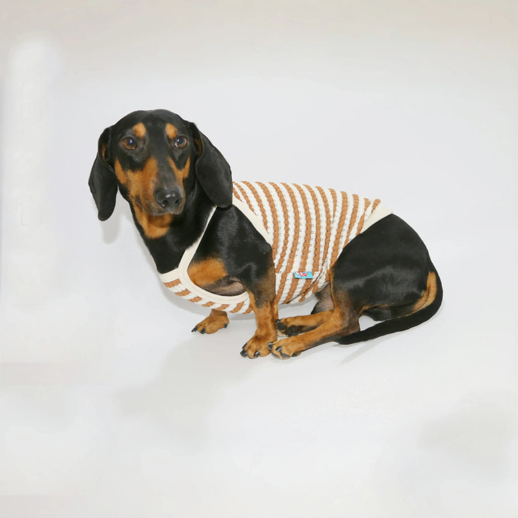 T-Shirt Eté En Coton Pour Chien Teckel